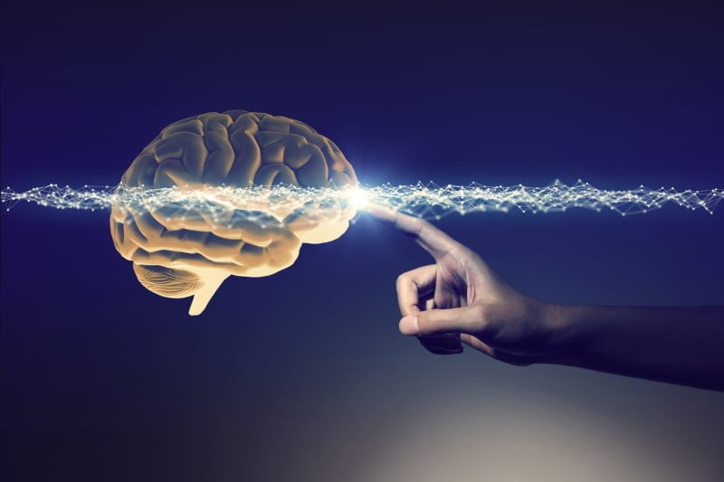 Os princípios das Neurociências aplicados à formação