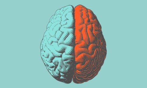 Compreender as diferenças de género do cérebro fará parte das competências essenciais de um líder