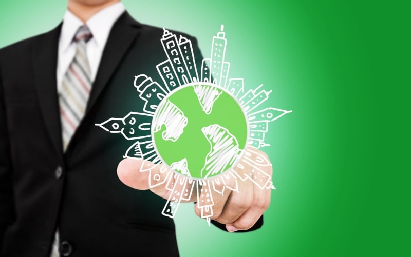 Sustentabilidade: porque a deve integrar na estratégia da sua organização
