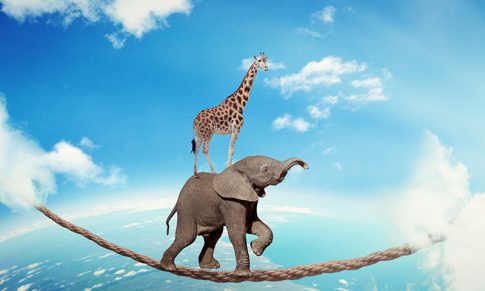 Trust organizations – Quando é a confiança que move a organização