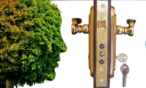Sustentabilidade corporativa, qual o papel dos líderes?